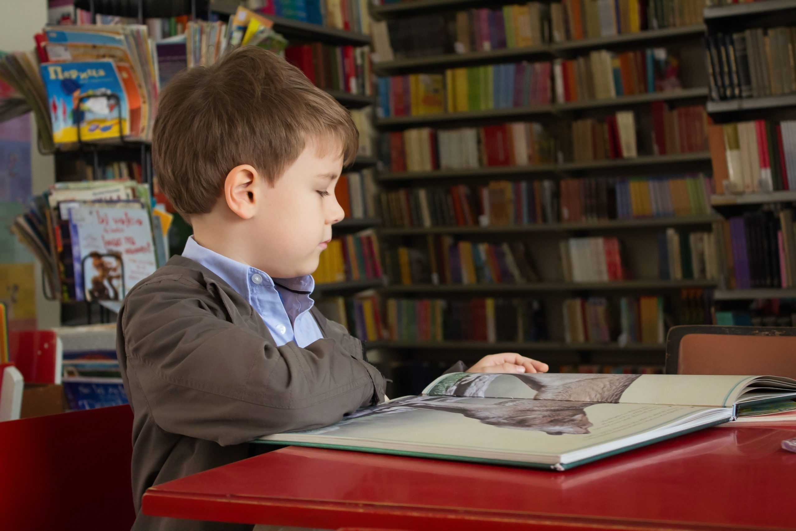 4 librerías infantiles en Barcelona que tienes que conocer